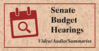 Senate Budget Hearings